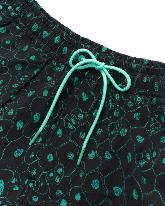 DEUS PLANT CELL BOARDSHORT - BISCAY GREEN