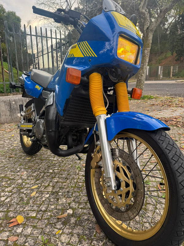 YAMAHA TDR250 3CL